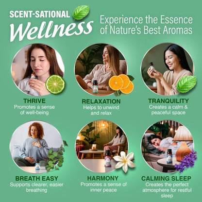 6 Essential Oil Blends Set, 10 ML