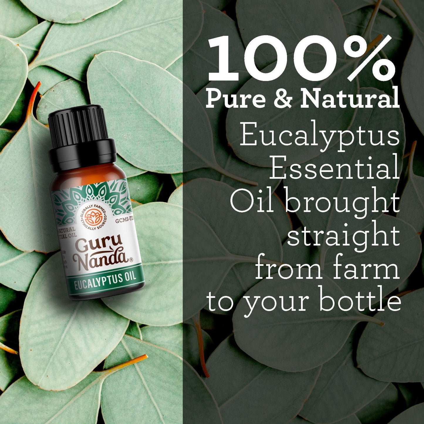 Eucalyptus Essential Oil, 15 ML – 2 Pack