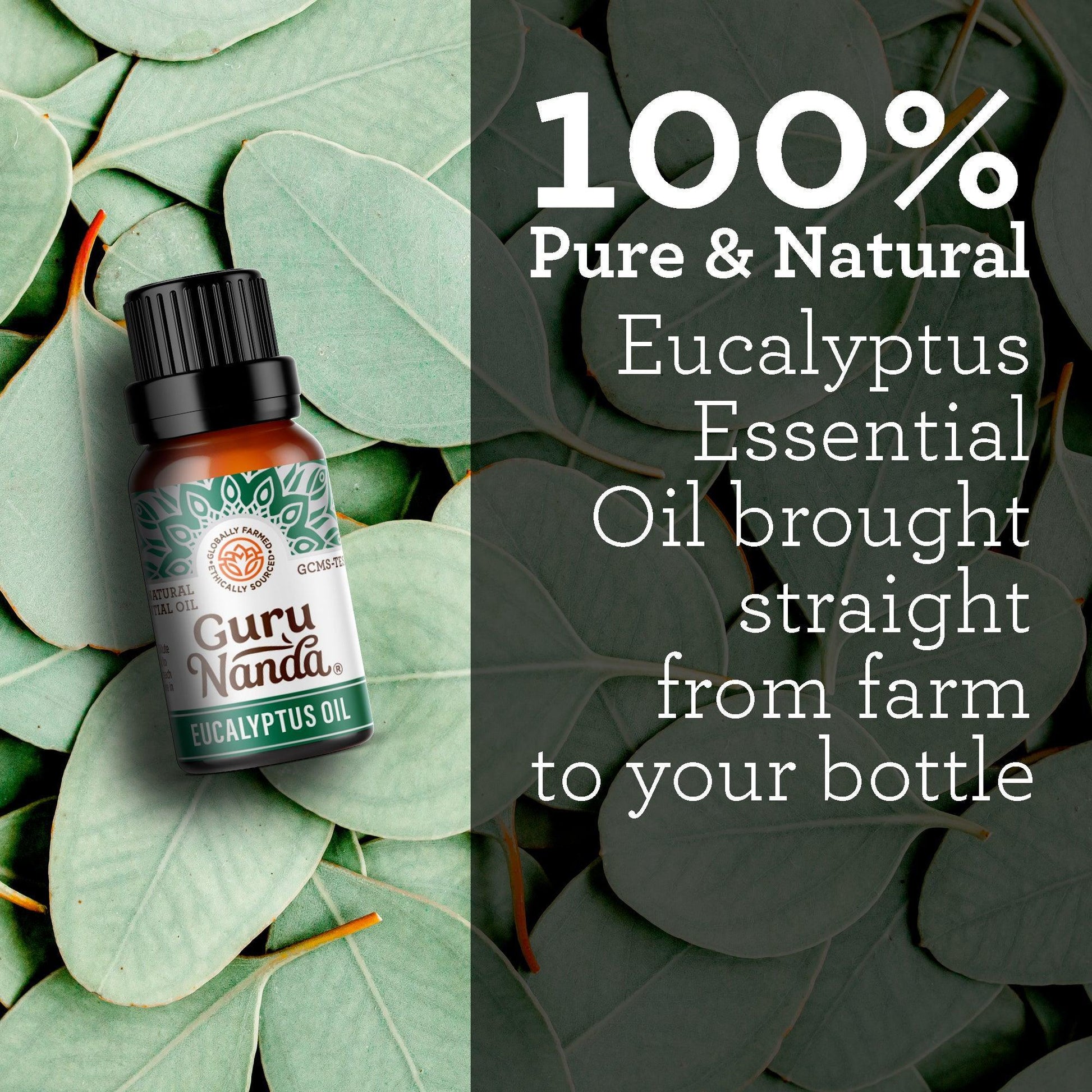 Eucalyptus Essential Oil, 15 ML – 2 Pack