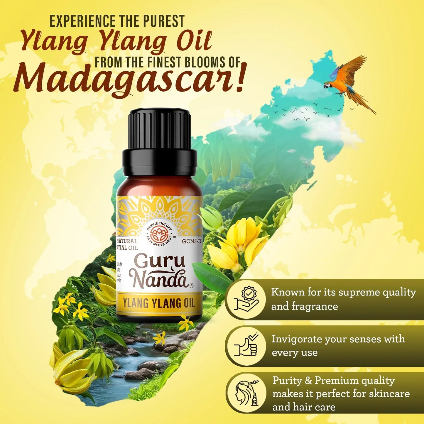 Ylang Ylang Essential Oil, 10mL - 2-Pack